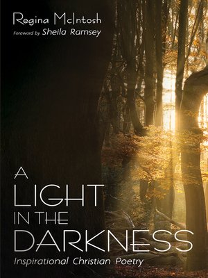 cover image of A Light in the Darkness